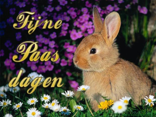 pasen009