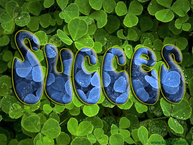 succes2