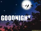 goodnight