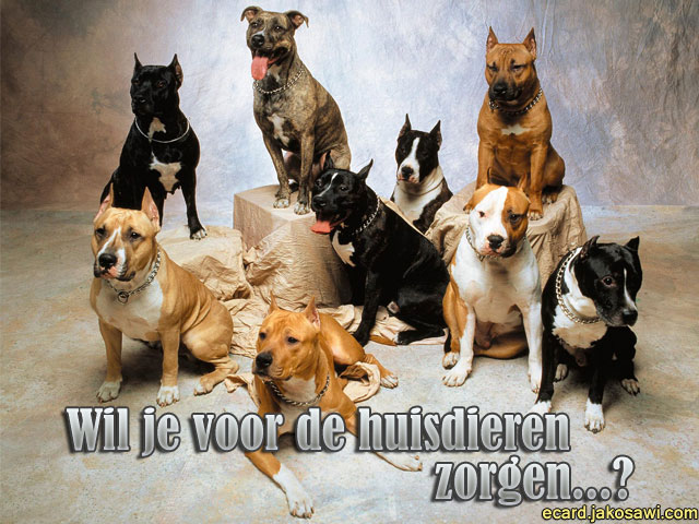 huisdier uitnodiging