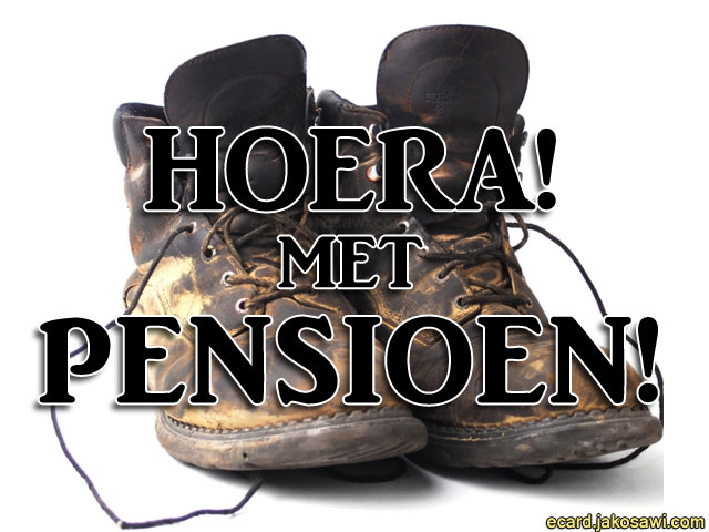 pensioen schoen 1301