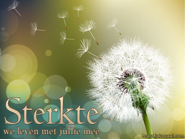 sterkte bloem 1302