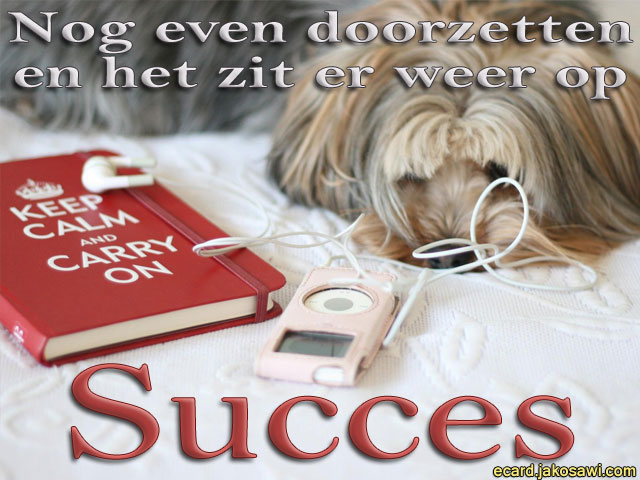 succes studie 1301