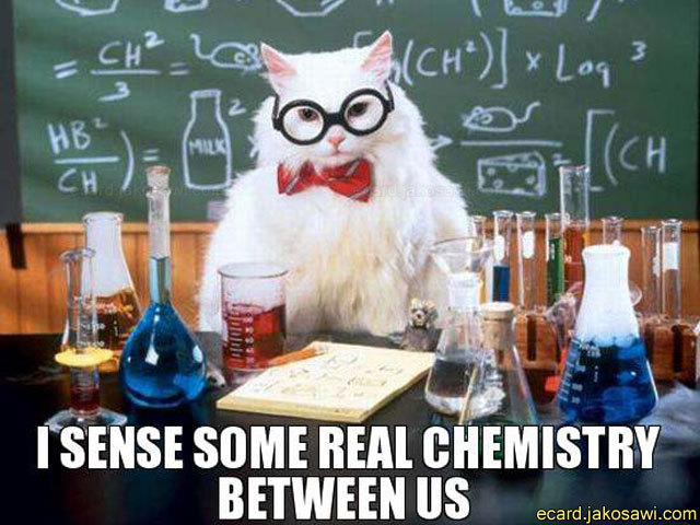 chemistry between us 1402