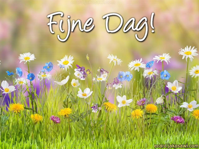 fijne dag 1602