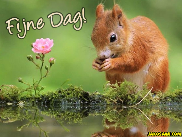 fijne dag 1701