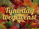 fijne dag 1702