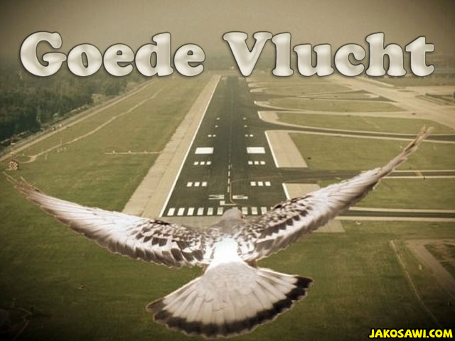 goede vlucht 1801