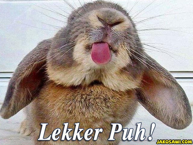 lekker puh 1701