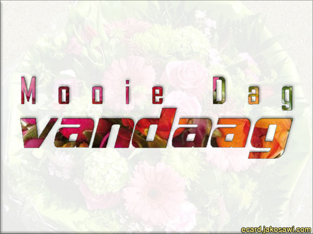 mooie dag vandaag 1602