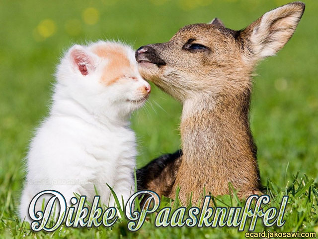 paasknuffel 1601