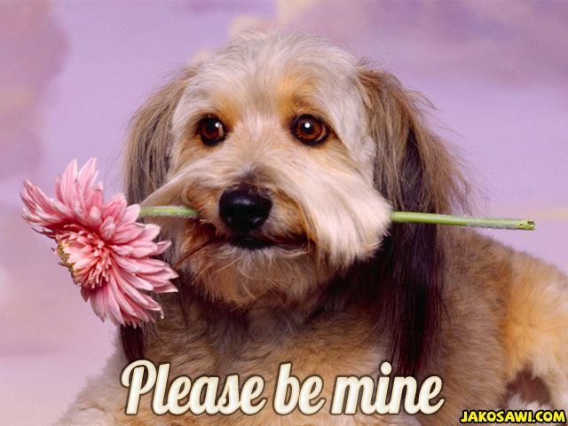 please be mine 1701