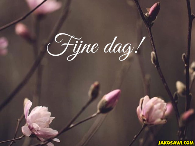 fijne dag herfst 1903