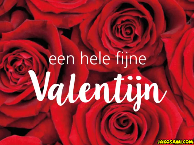 fijne valentijn 2301