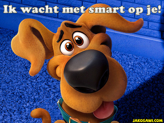 ik wacht op je 2001