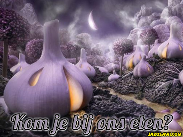 knoflook eten 2001