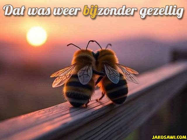 bijzonder gezellig 2502