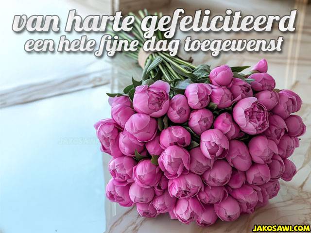gefeliciteerd 2501
