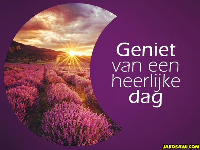 geniet dag  2401