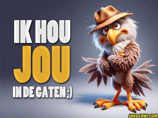 ik hou jou in de gaten 2501