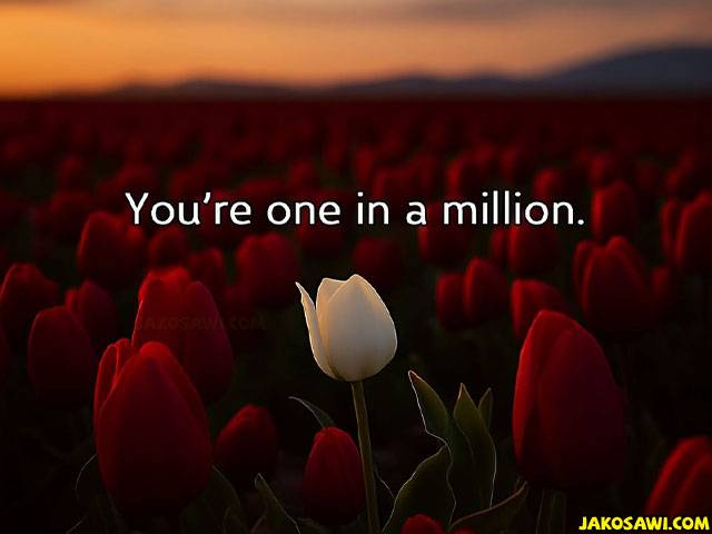 one in a million 2501