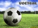 voetbal 2501