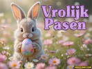 vrolijk pasen 2503