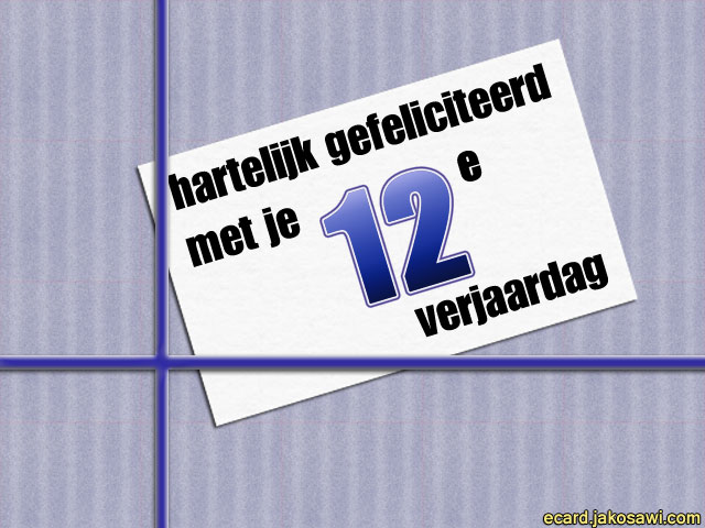 12 jaar kado