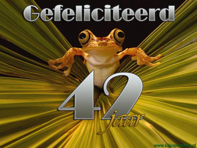 42 jaar kikker