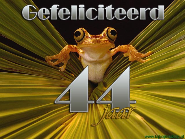 44 jaar kikker