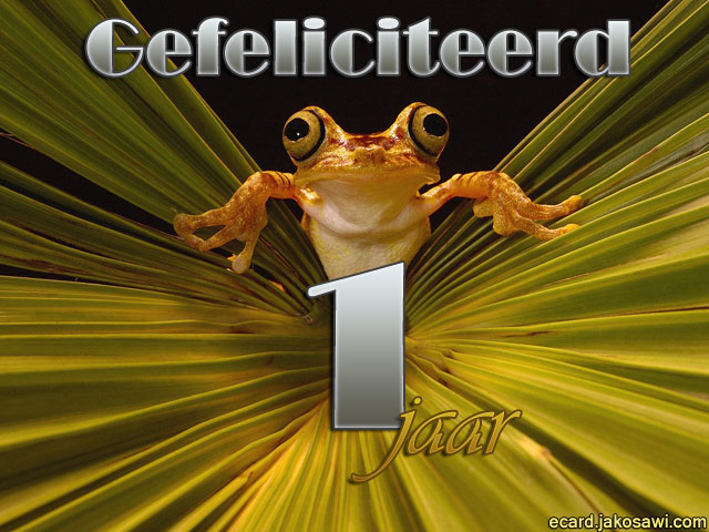 01 jaar kikker