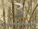 03 jaar bamboo