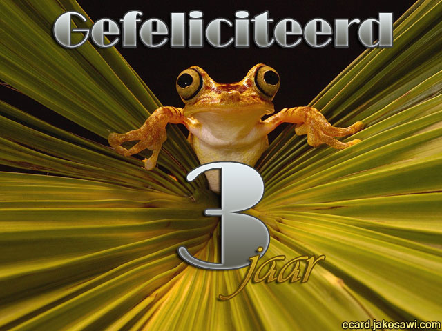 03 jaar kikker