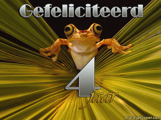 04 jaar kikker