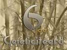 06 jaar bamboo