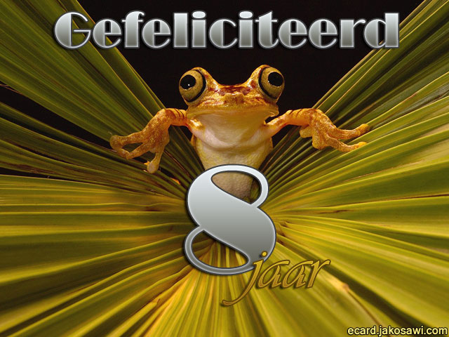 08 jaar kikker