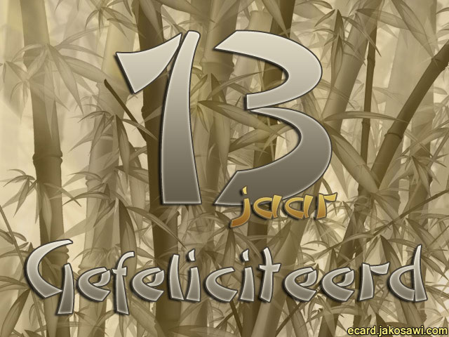 13 jaar bamboo