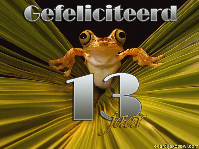 13 jaar kikker