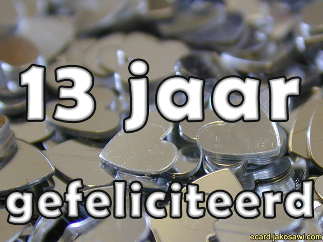 13 jaar metal