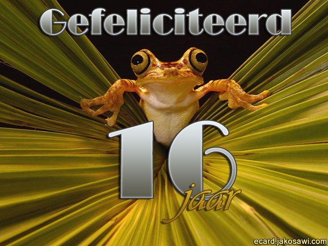16 jaar kikker