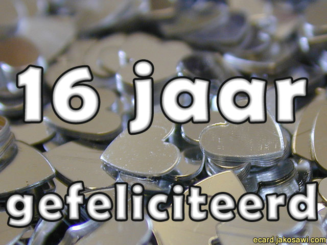16 jaar metal