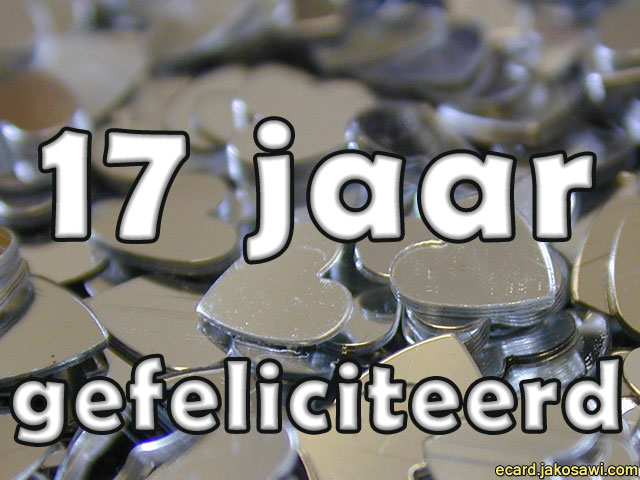 17 jaar metal