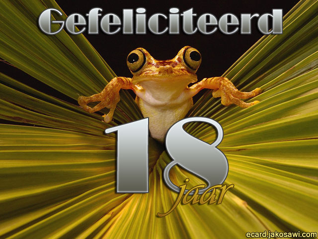 18 jaar kikker
