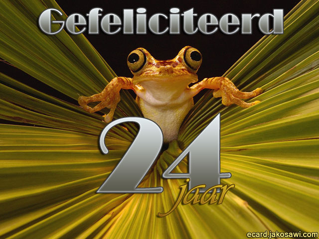 24 jaar kikker