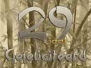 29 jaar bamboo