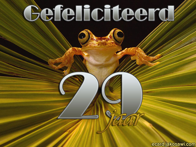 29 jaar kikker