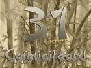 31 jaar bamboo