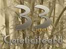 33 jaar bamboo