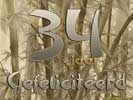 34 jaar bamboo