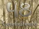 48 jaar bamboo